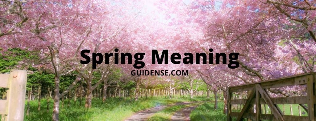 Spring Meaning