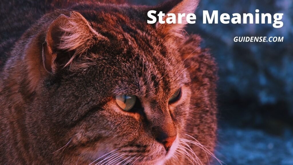  Stare Meaning Guidense