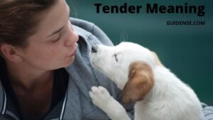 Tender Meaning