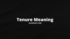Tenure Meaning