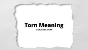 Torn Meaning in Hindi