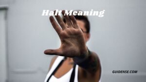 Halt Meaning
