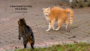Confrontation Meaning