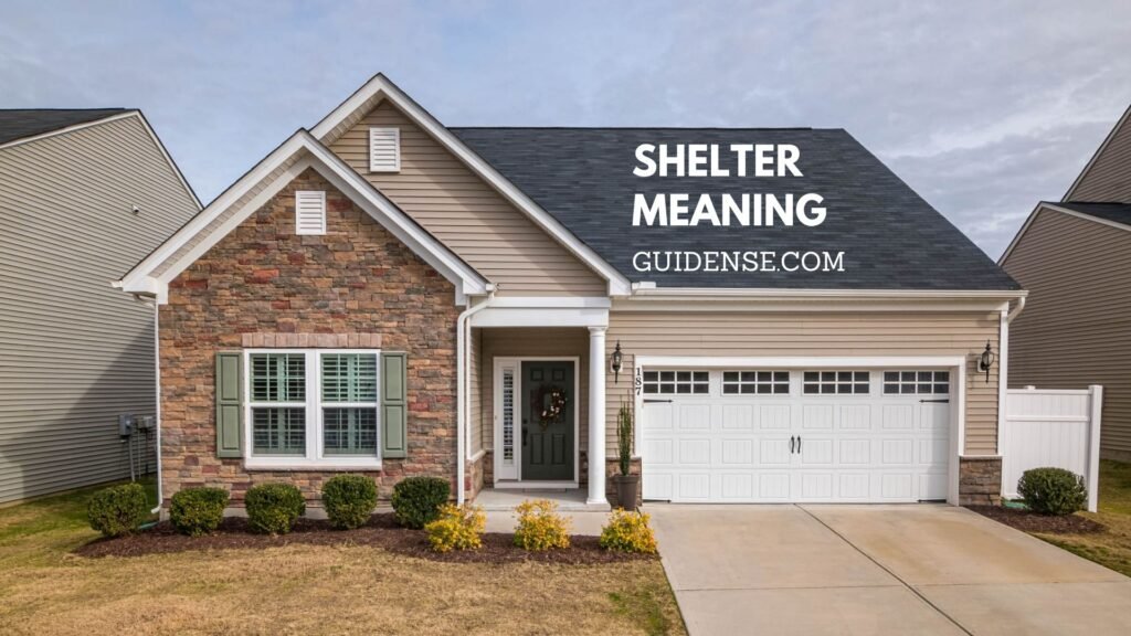 Shelter Meaning
