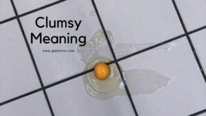 Clumsy Meaning in Hindi