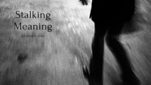 Stalking Meaning in Hindi