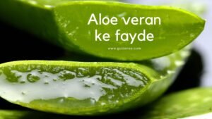 Benefits Of Aloe Vera in Hindi – एलोवेरा को चेहरे पर लगाने से होने वाले फायदे