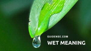 Wet Meaning in Hindi