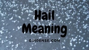 Hail Meaning