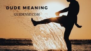 Dude Meaning