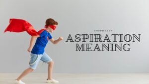 Aspiration Meaning in Hindi