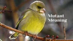 Mutant Meaning in Hindi