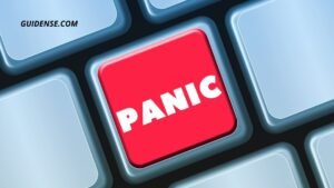 Panic Meaning