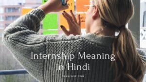 Internship Meaning in Hindi