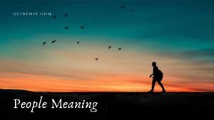 People Meaning in Hindi
