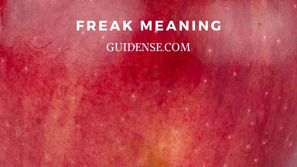 Freak Meaning