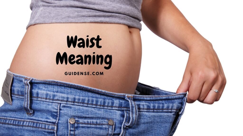 Waist Meaning