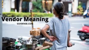 Vendor Meaning in Hindi