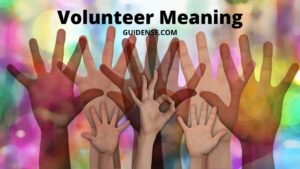 Volunteer Meaning in Hindi