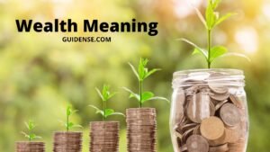 Wealth Meaning