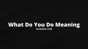 What Do You Do Meaning in Hindi