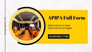 APIPA Full Form in Hindi